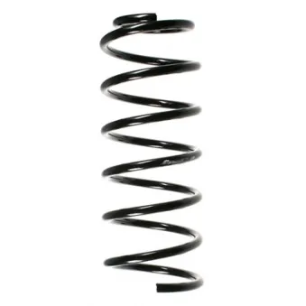 Ressort de suspension SPIDAN 49391