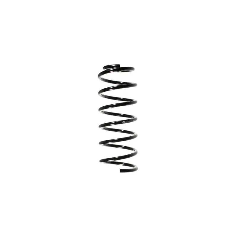 Ressort de suspension SPIDAN 49391