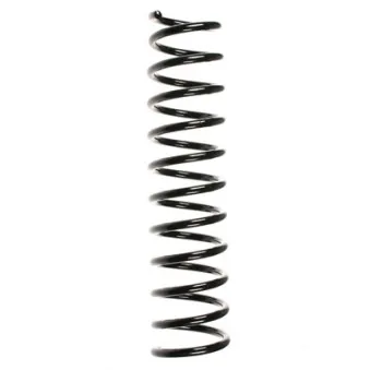 Ressort de suspension SPIDAN 49396
