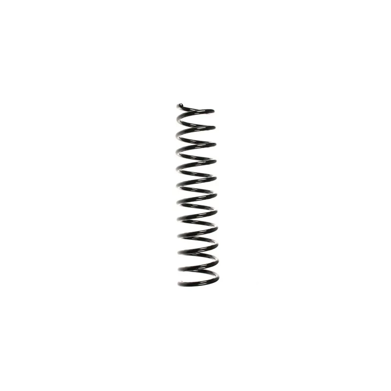Ressort de suspension SPIDAN 49396