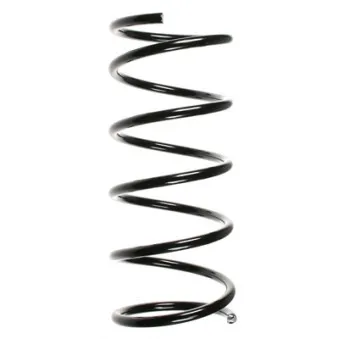 Ressort de suspension SPIDAN 49401
