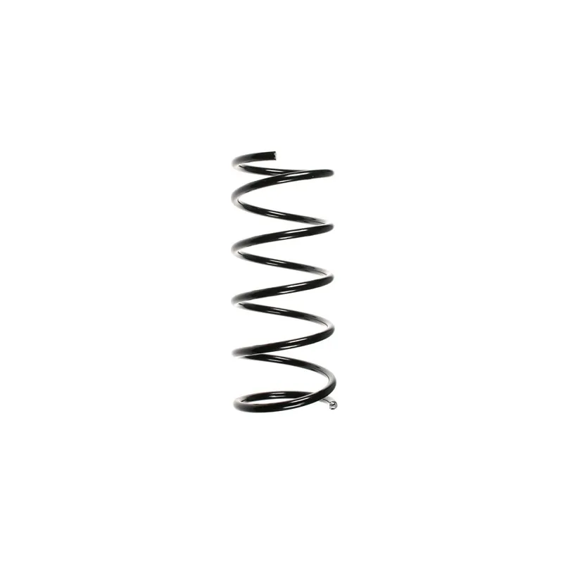 Ressort de suspension SPIDAN 49401