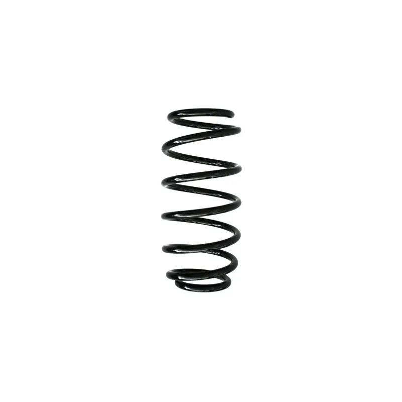 Ressort de suspension SPIDAN 49409