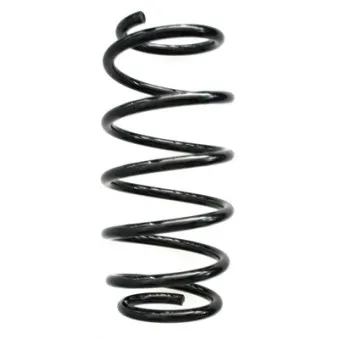 Ressort de suspension SPIDAN 49411