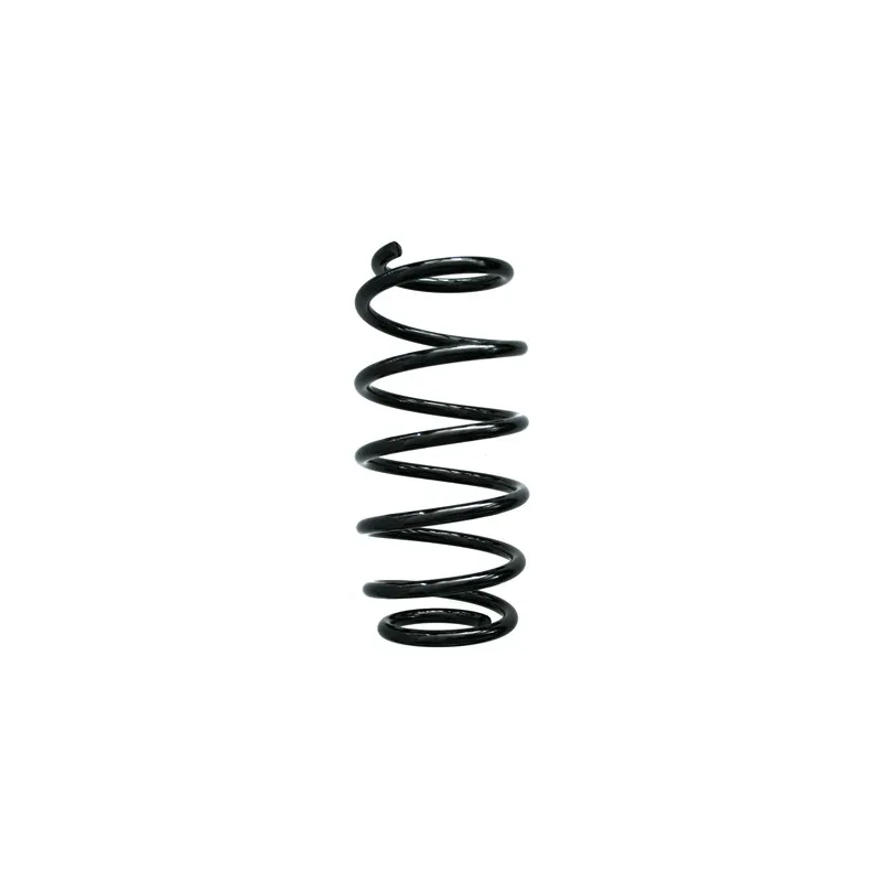 Ressort de suspension SPIDAN 49413