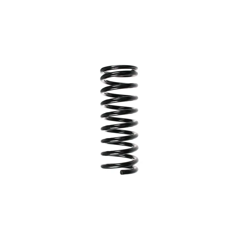 Ressort de suspension SPIDAN 49415