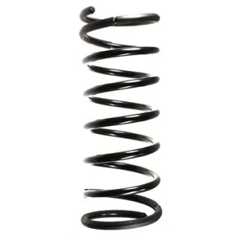 Ressort de suspension SPIDAN 49418