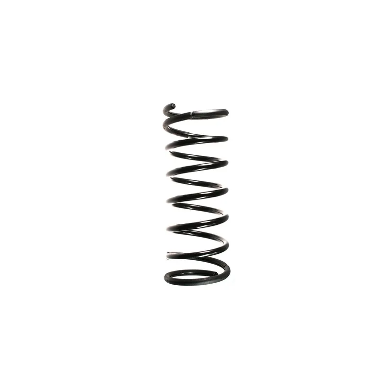 Ressort de suspension SPIDAN 49418