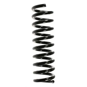 Ressort de suspension SPIDAN 49419