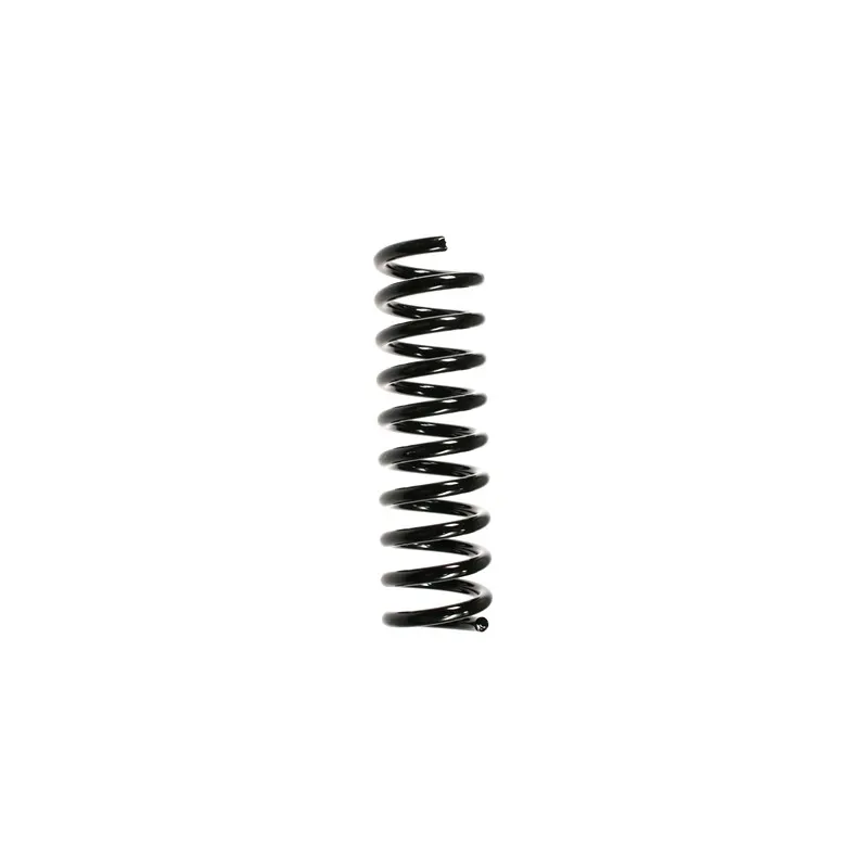 Ressort de suspension SPIDAN 49419