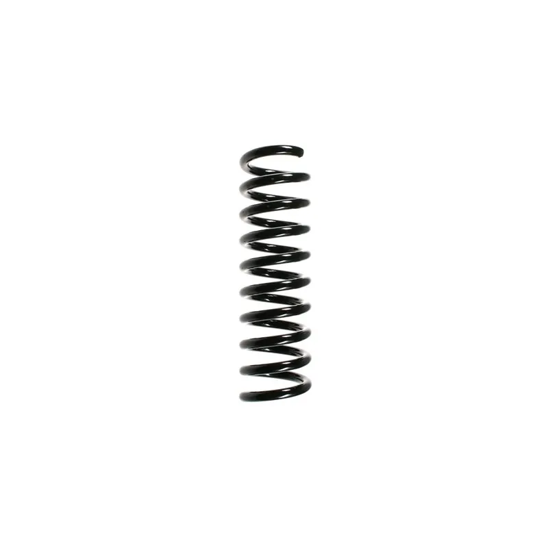 Ressort de suspension SPIDAN 49420