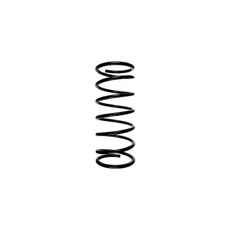 Ressort de suspension SPIDAN 49421