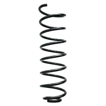 Ressort de suspension SPIDAN 49429