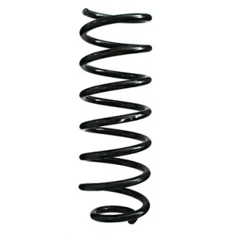 Ressort de suspension SPIDAN 49435