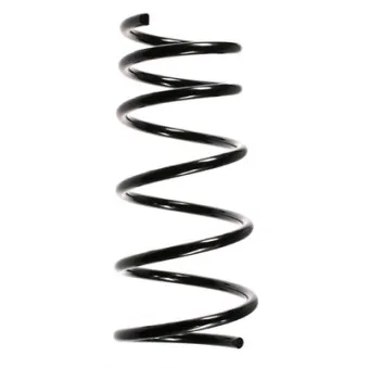 Ressort de suspension SPIDAN 49445