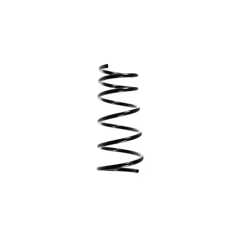 Ressort de suspension SPIDAN 49445