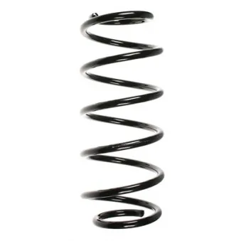 Ressort de suspension SPIDAN 49446
