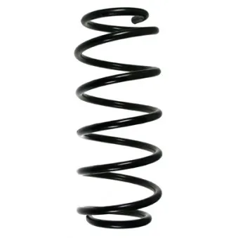 Ressort de suspension SPIDAN 49451
