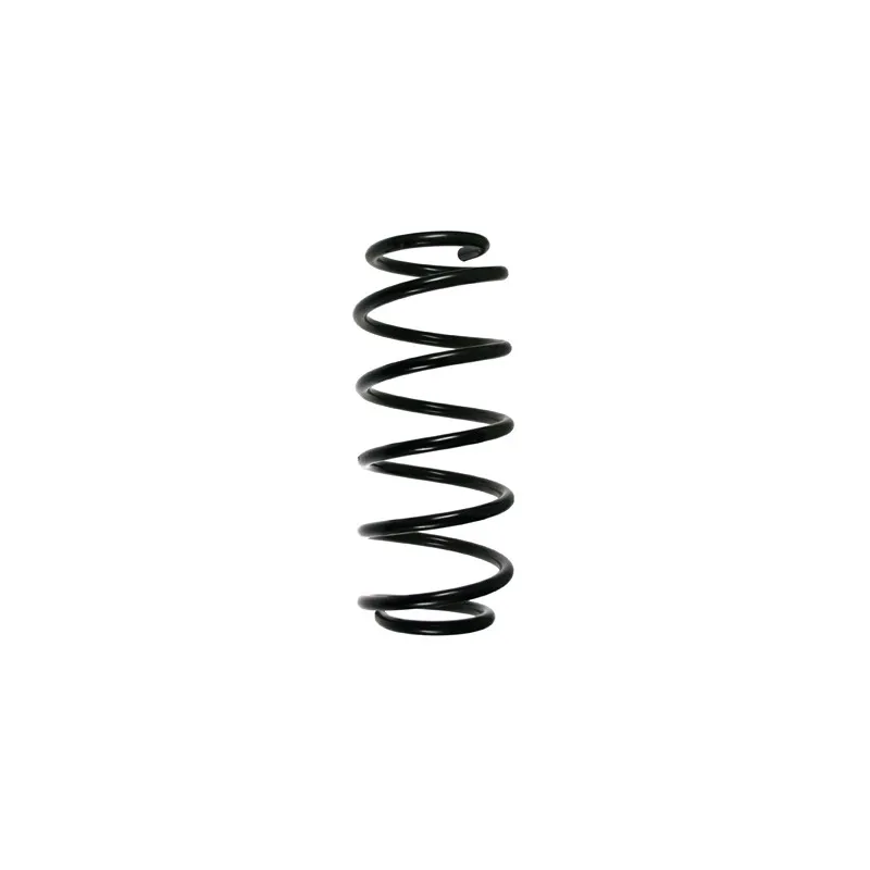 Ressort de suspension SPIDAN 49451