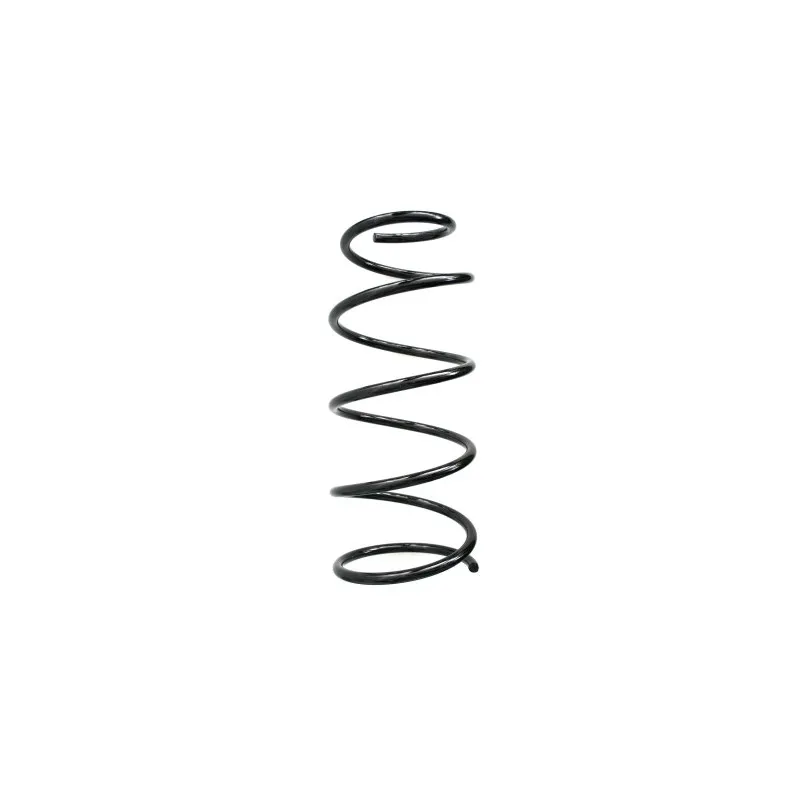 Ressort de suspension SPIDAN 49454