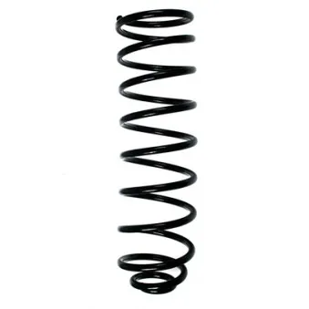 Ressort de suspension SPIDAN 49462
