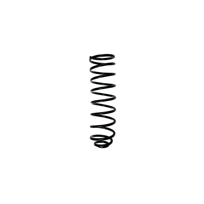 Ressort de suspension SPIDAN 49462