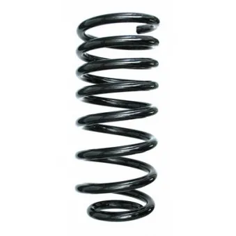 Ressort de suspension SPIDAN 49463