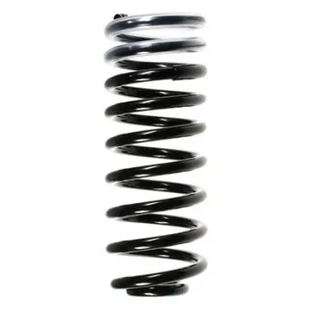 Ressort de suspension SPIDAN 49467