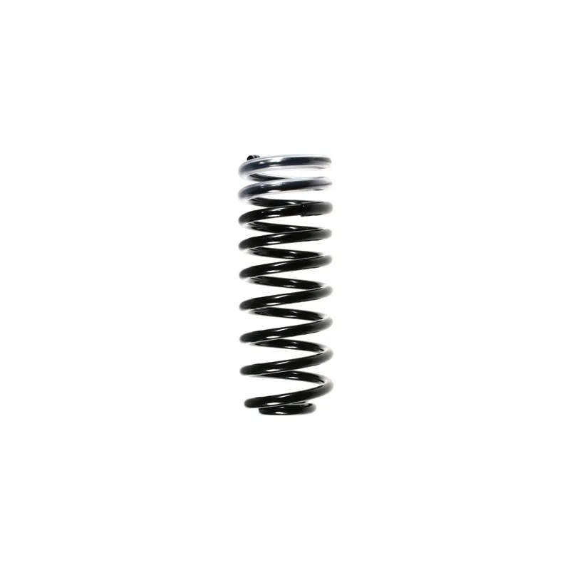 Ressort de suspension SPIDAN 49467