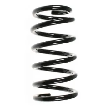 Ressort de suspension SPIDAN 49472