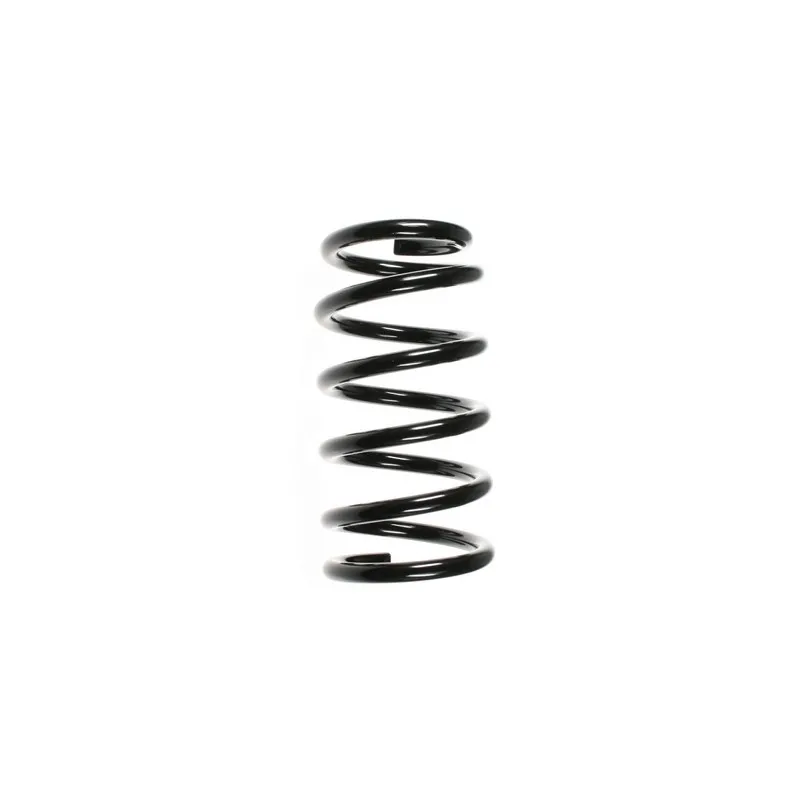 Ressort de suspension SPIDAN 49472