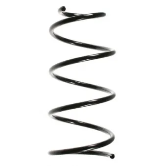 Ressort de suspension SPIDAN 49481