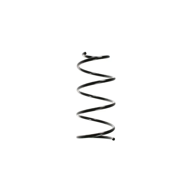 Ressort de suspension SPIDAN 49481
