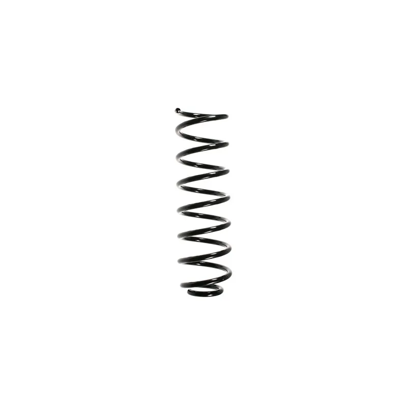 Ressort de suspension SPIDAN 49486