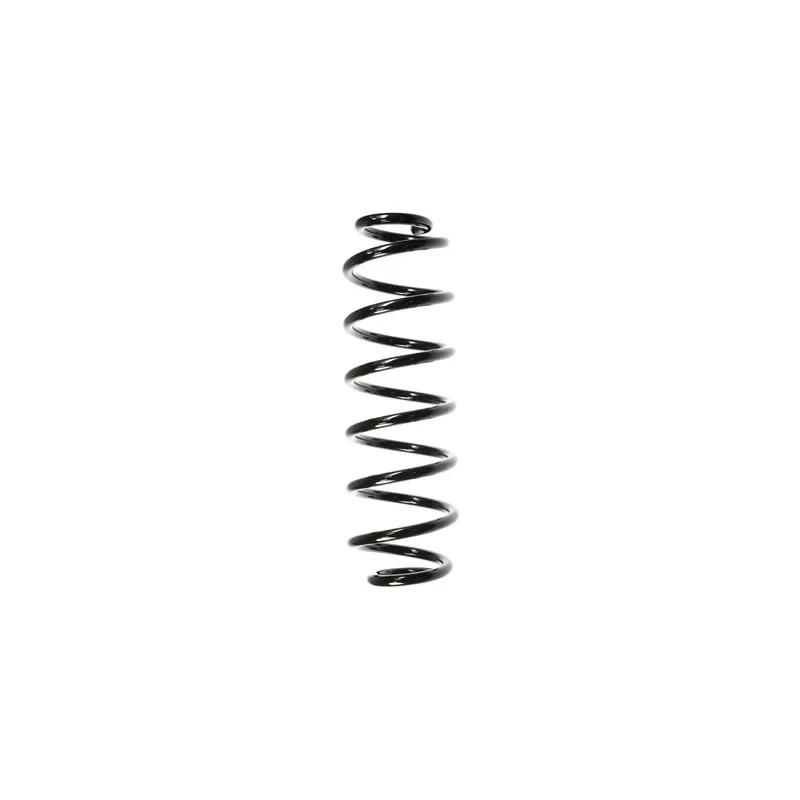 Ressort de suspension SPIDAN 49489