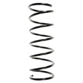 Ressort de suspension SPIDAN 49492