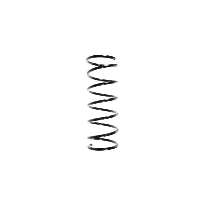 Ressort de suspension SPIDAN 49492