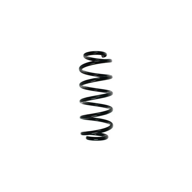 Ressort de suspension SPIDAN 49494
