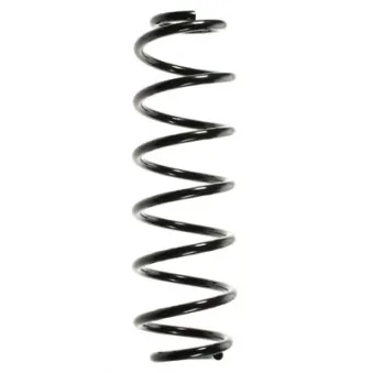 Ressort de suspension SPIDAN 49495