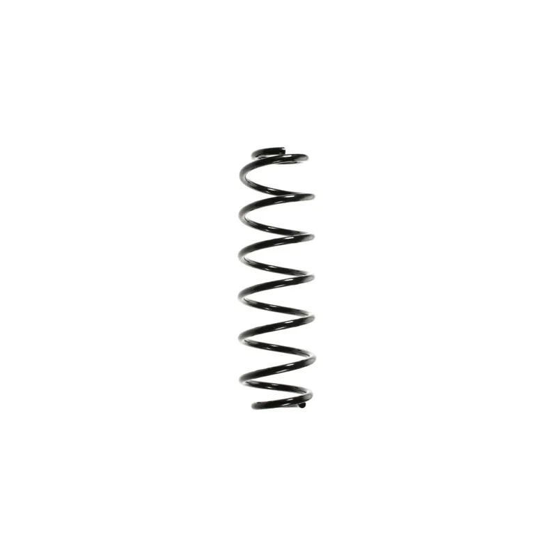 Ressort de suspension SPIDAN 49495