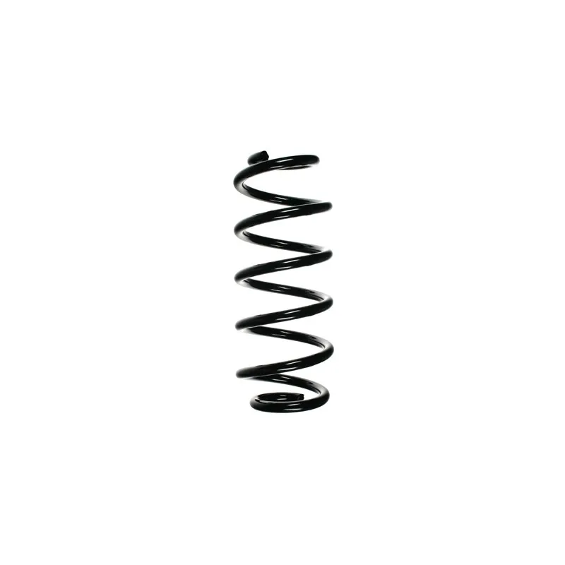 Ressort de suspension SPIDAN 49496