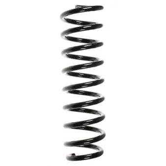 Ressort de suspension SPIDAN 49498