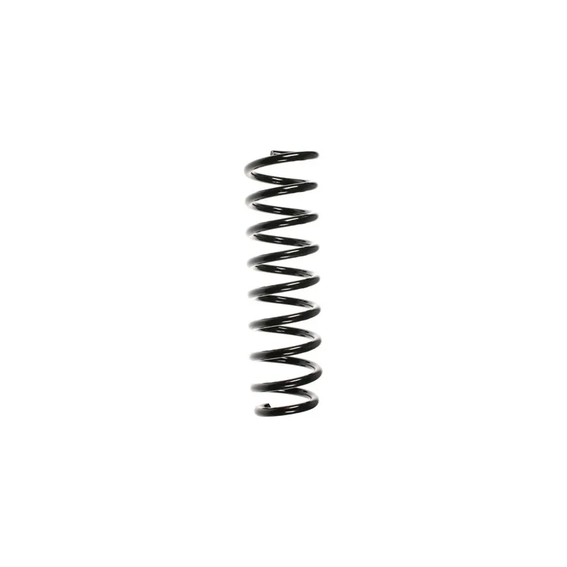 Ressort de suspension SPIDAN 49498