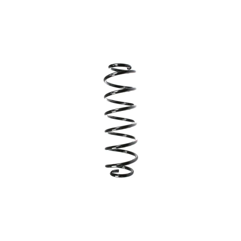 Ressort de suspension SPIDAN 49499