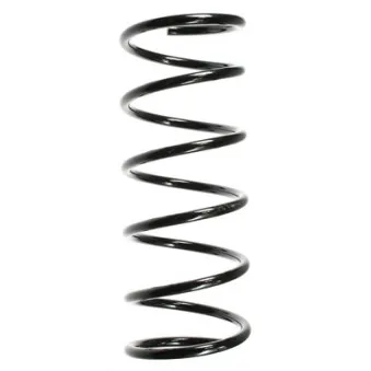Ressort de suspension SPIDAN 49505