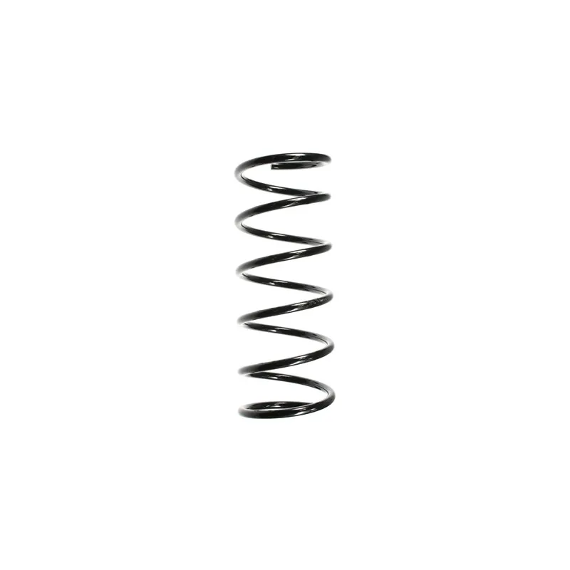 Ressort de suspension SPIDAN 49505