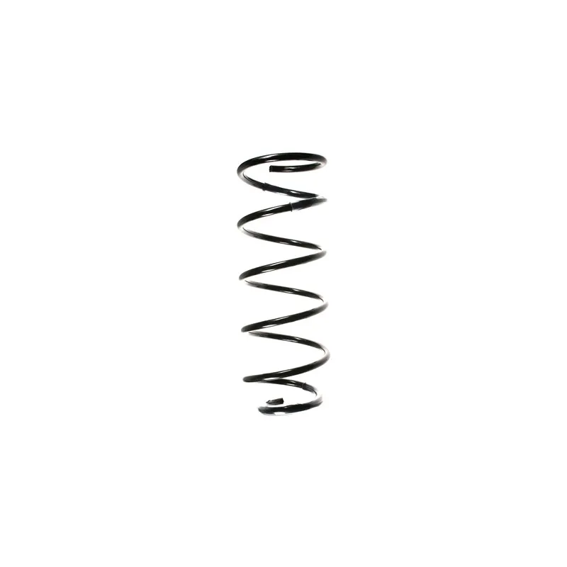 Ressort de suspension SPIDAN 49511