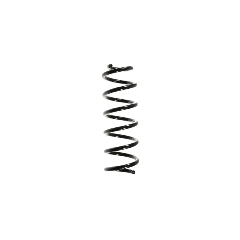 Ressort de suspension SPIDAN 49512