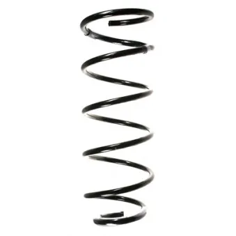 Ressort de suspension SPIDAN 49514