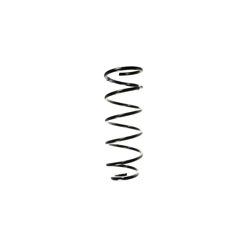 Ressort de suspension SPIDAN 49514